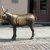 torun092022